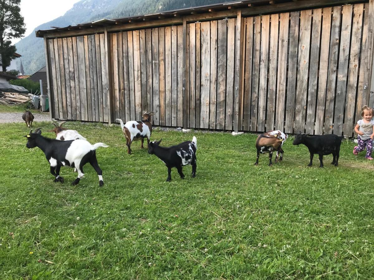 Apartamento Pony-Ziegen-Hasen-Ranch Bichlbach Exterior foto